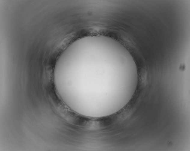 X0000113560276200910091422