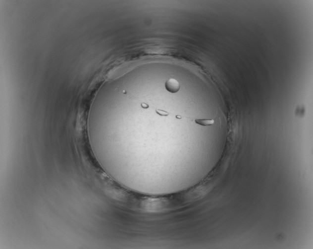 X0000113560277200910091422