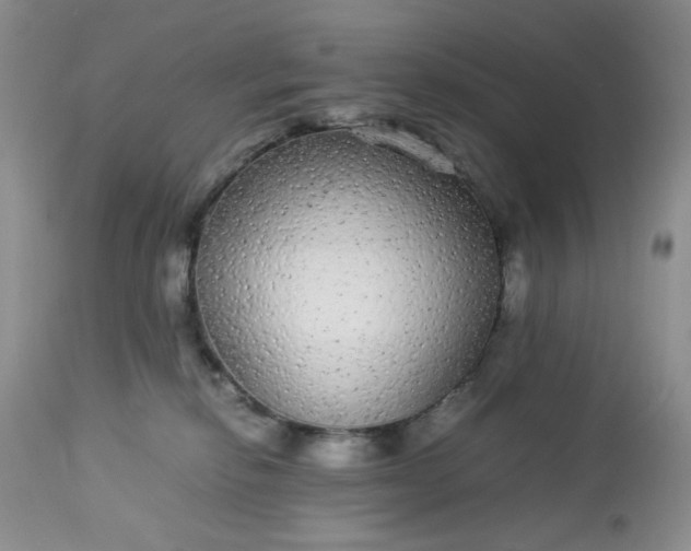 X0000113560278200910091422