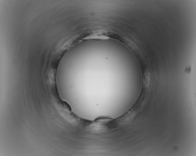 X0000113560280200910091422