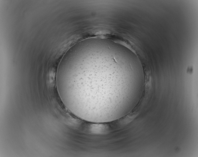 X0000113560281200910091422
