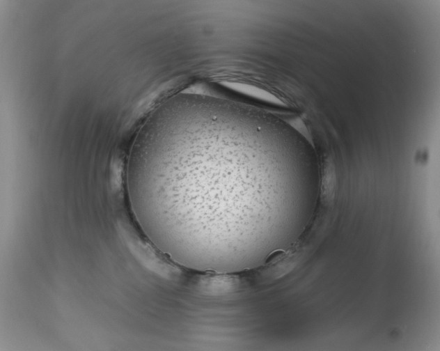 X0000113560282200910091422