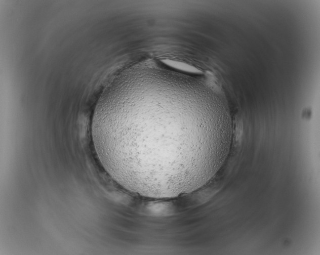 X0000113560283200910091422