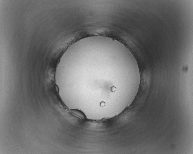 X0000113560284200910091422