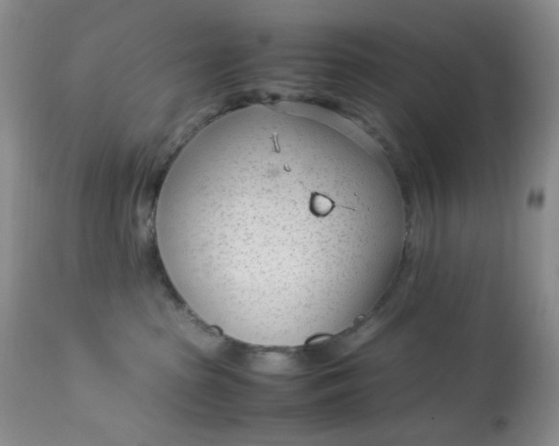 X0000113560285200910091422