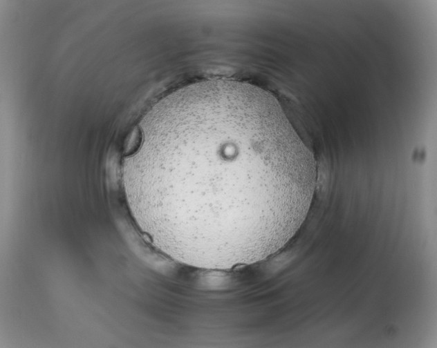 X0000113560287200910091422