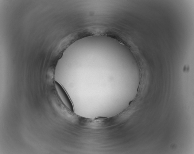X0000113560288200910091422