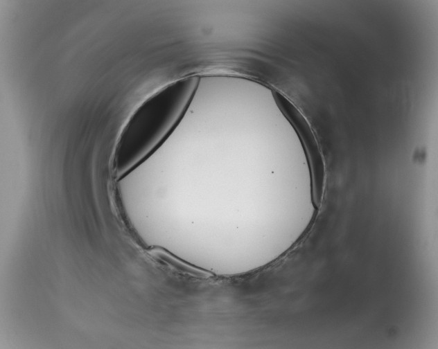 X0000113560289200910091421