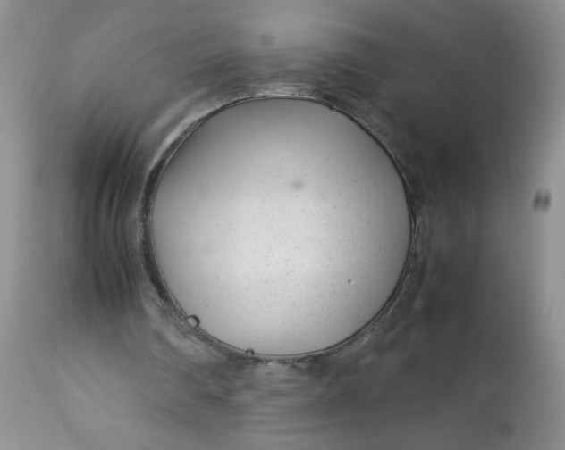 X0000113560290200910091421