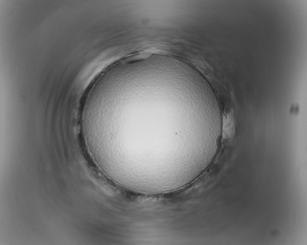 X0000113560291200910091421