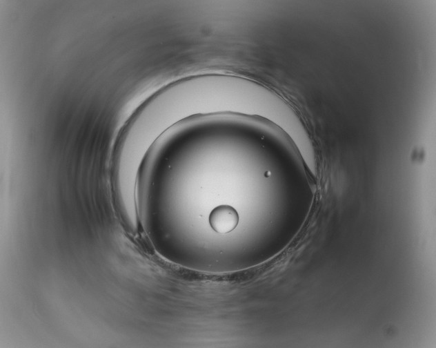 X0000113560292200910091421