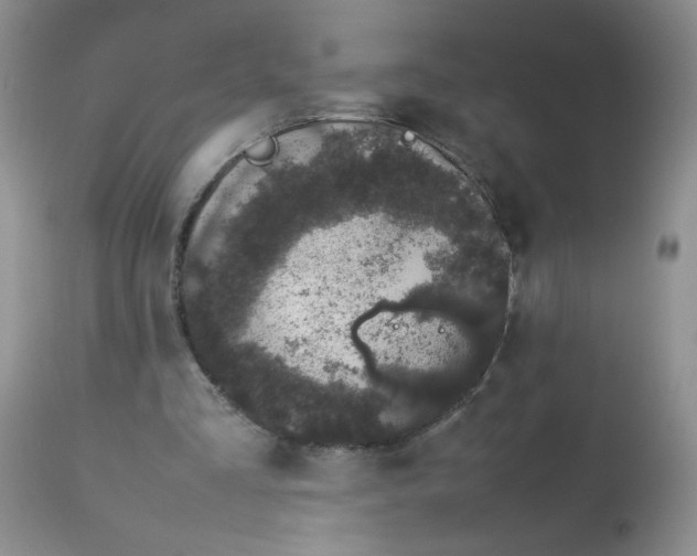 X0000113560293200910091421