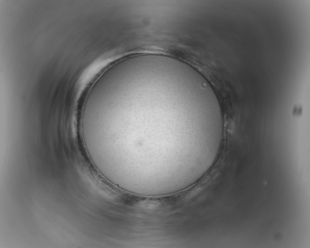 X0000113560294200910091421