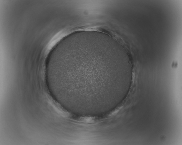 X0000113560295200910091421