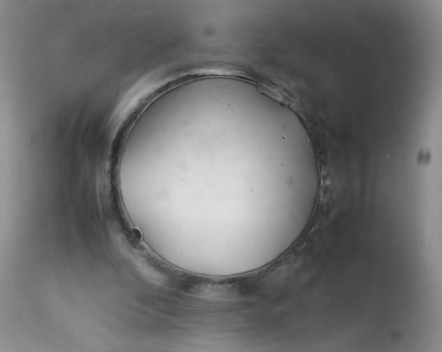 X0000113560296200910091421