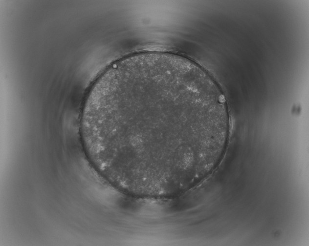 X0000113560297200910091421