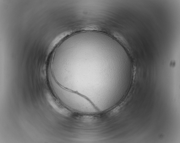 X0000113560298200910091421