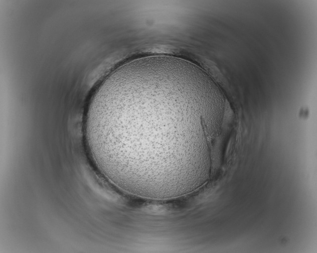 X0000113560299200910091421