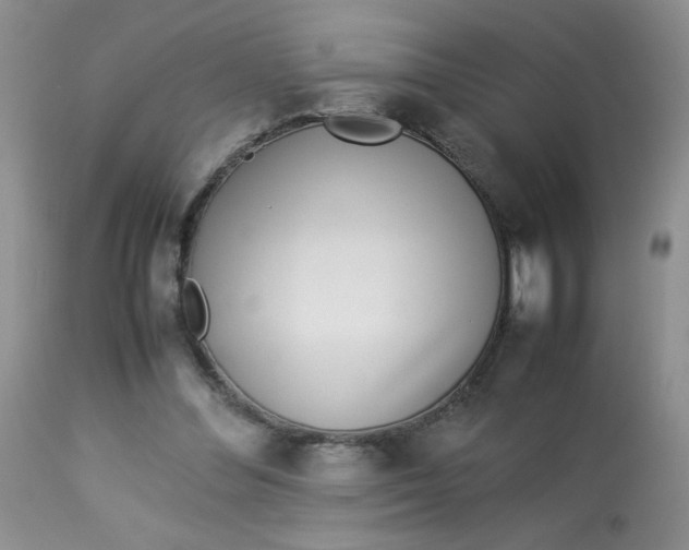 X0000113560300200910091421