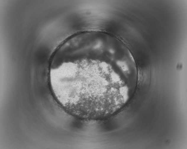 X0000113560301200910091421