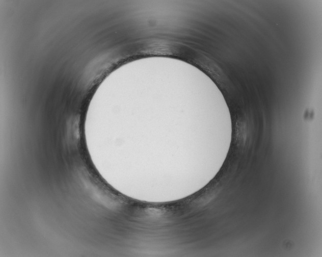 X0000113560302200910091421