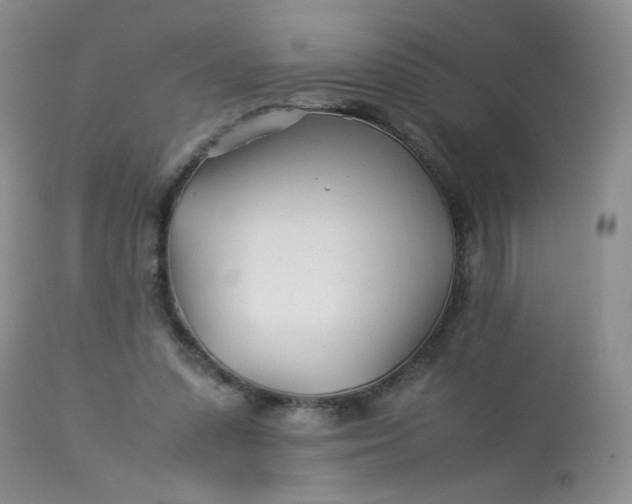 X0000113560303200910091421