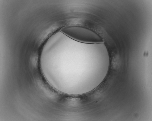 X0000113560304200910091421