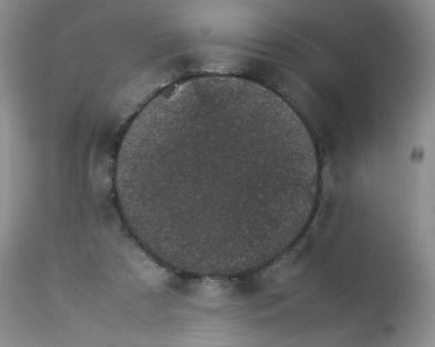 X0000113560305200910091421