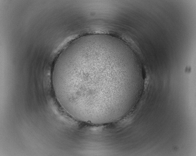 X0000113560306200910091421