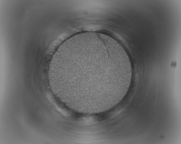 X0000113560307200910091421