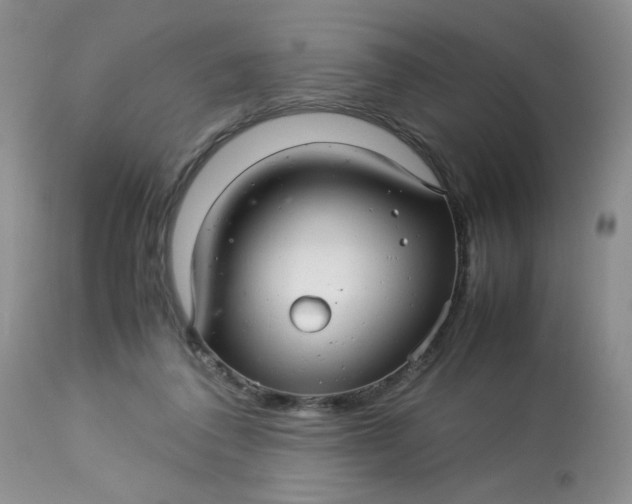 X0000113560308200910091421