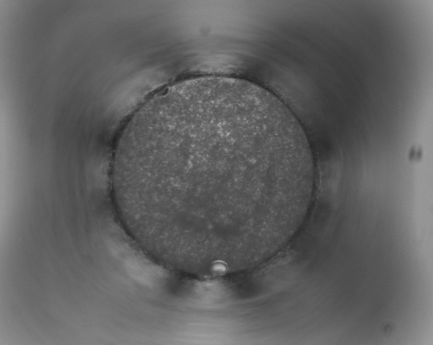 X0000113560309200910091421