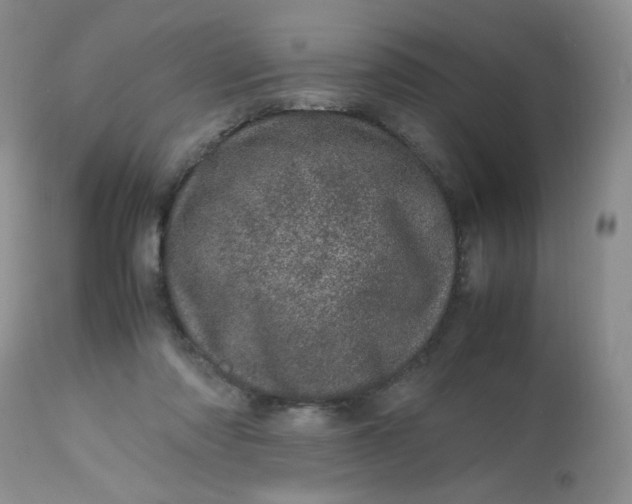 X0000113560310200910091421