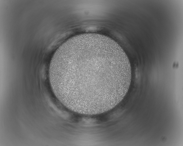 X0000113560311200910091421