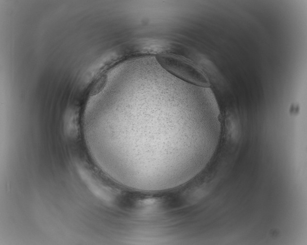X0000113560312200910091421