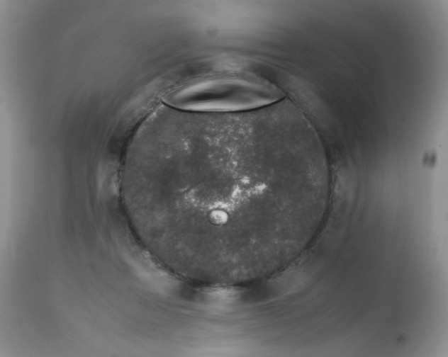 X0000113560313200910091421