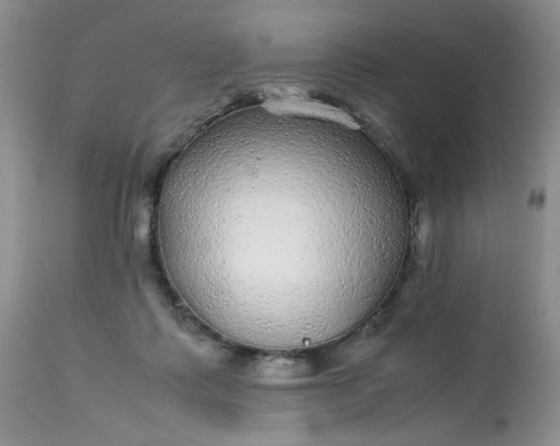 X0000113560315200910091421