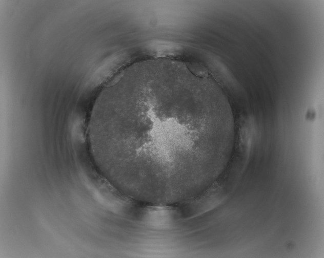 X0000113560316200910091421
