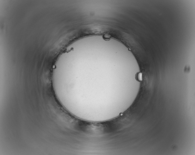 X0000113560317200910091421