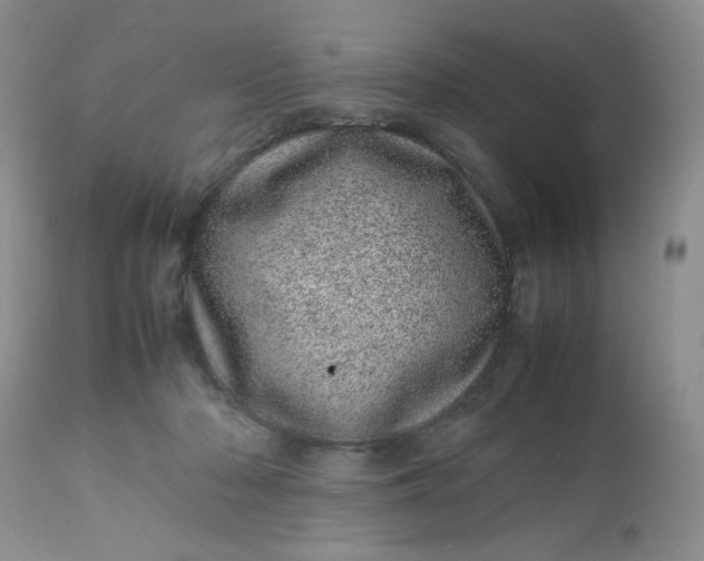X0000113560318200910091421