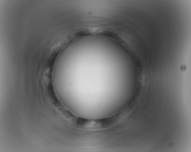 X0000113560319200910091421