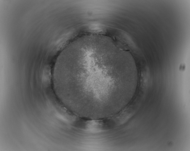 X0000113560320200910091421
