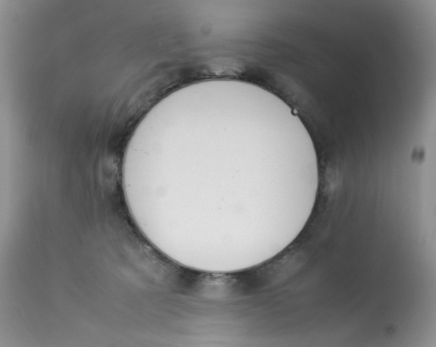 X0000113560321200910091421