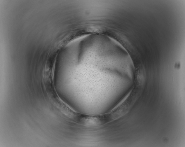 X0000113560322200910091421