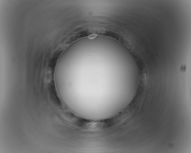 X0000113560323200910091421