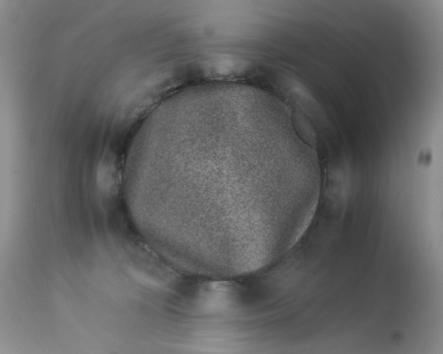 X0000113560324200910091421