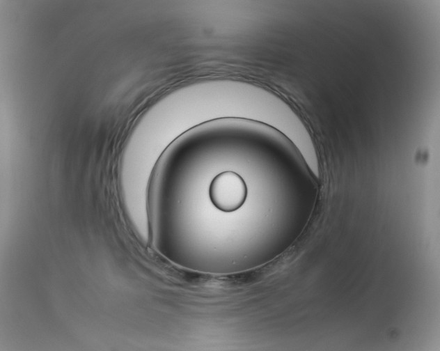 X0000113560325200910091421