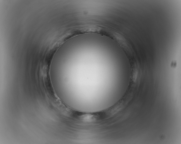 X0000113560326200910091421