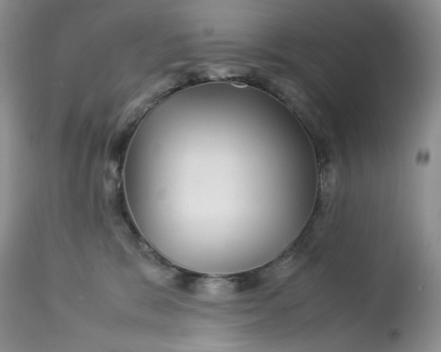 X0000113560327200910091421