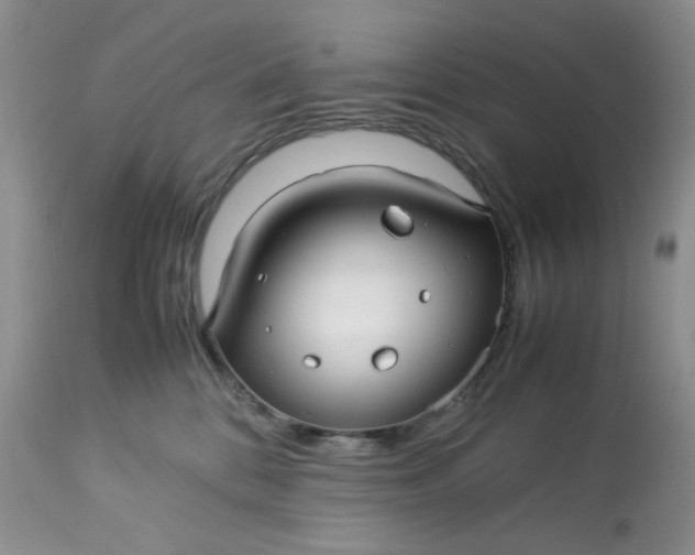 X0000113560328200910091421